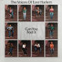 Voices of East Harlem - Can You Feel It