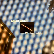 Gray, David - White Ladder