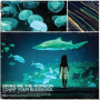 Bring Me the Horizon - Count Your Blessings