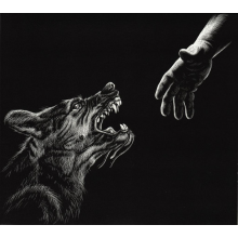 Generation of Vipers - Coffin Wisdom