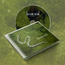 Lunatic Soul - Transition II