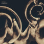 Siamese - Dissolution
