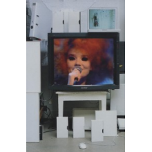 Bjork - Later 1995-2011