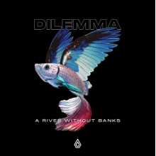 Dilemma - A River Without Banks