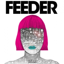 Feeder - Tallulah