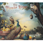 Flower Kings - By Royal Decree
