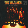 Volcanics - Too Late To Run