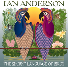 Anderson, Ian - The Secret Language Of Birds LP BLACK
