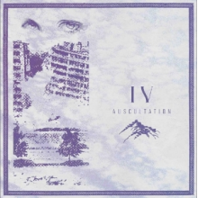 Auscultation - Iv
