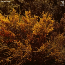 Cantu-Ledesma, Jefre - Tracing Back the Radiance