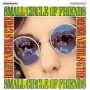 Roger Nichols & the Small Circle of Friends - Roger Nichols & the Small Circle of Friends