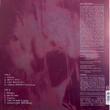 Amidon, Sam - Sam Amidon