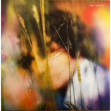 Amidon, Sam - Sam Amidon