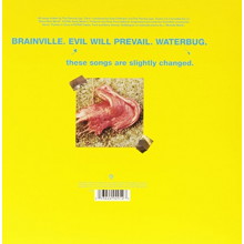 Flaming Lips - Brainville