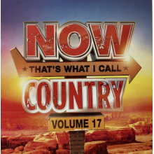 Varius Artists - Now That's What I Call Country Volume 17
