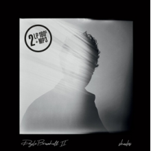 Doyle Bramhall Ii - Shades