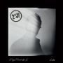 Doyle Bramhall Ii - Shades