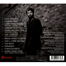 Doyle Bramhall Ii - Shades