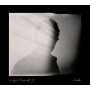 Doyle Bramhall Ii - Shades