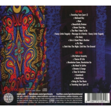 Gov't Mule - Bring On the Music