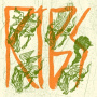 Ribs - Cold Ribs