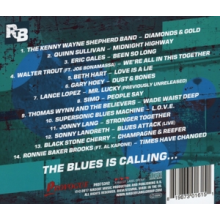 V/A - Rockin' the Blues