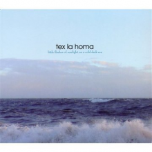 Tex La Homa - Little Flashes of Sunlight