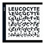 E.S.T. - Leucocyte