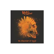 Barns Courtney - The Attractions of Youth