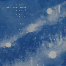Llew, Eyre - Bloom