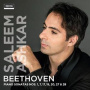 Ashkar, Saleem - Sonatas 1,7,17,19,20,27,28