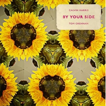 Calvin Harris Feat. Tom Grenna - By Your Side