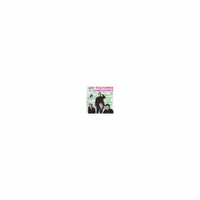 Walflower Complexion, the - The Walflower Complexion