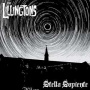 Lillingtons - Stella Sapiente