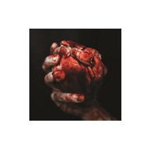 Forgotten Tomb - We Owe You Nothing