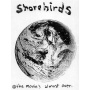 Shorebirds - 7-Shorebirds