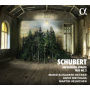 Schubert, Franz - Arpeggione Sonata & Trio No.2