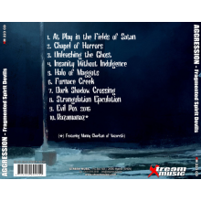 Aggression - Fragmented Spirit Devils
