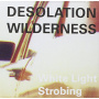 Desolation Wilderness - White Light Strobing