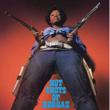 V/A - Hot Shots of Reggae
