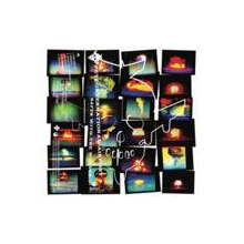 Pete International Airport - Safer With the Wolves