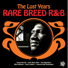 V/A - Rare Breed R&B - the Lost Years