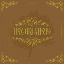 Ironbird - Ironbird