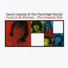 Cassidy, David & the Partridge - Could It Be Forever - the Greatest Hits