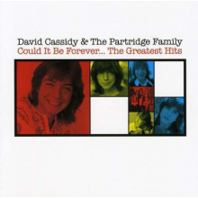 Cassidy, David & the Partridge Family - Could It Be Forever - the Greatest Hits
