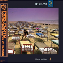 Pink Floyd - A Momentary Lapse of Reason