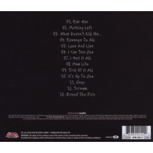 Ektomorf - What Doesn't Kill Me