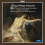 L Orfeo Barockorchester - Passion Cantatas