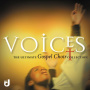 V/A - Voices: Ultimate Gospel Choir Collecton
