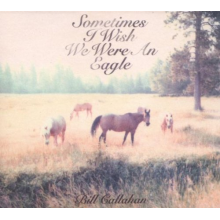 Callahan, Bill - Sometimes I Wish We Were